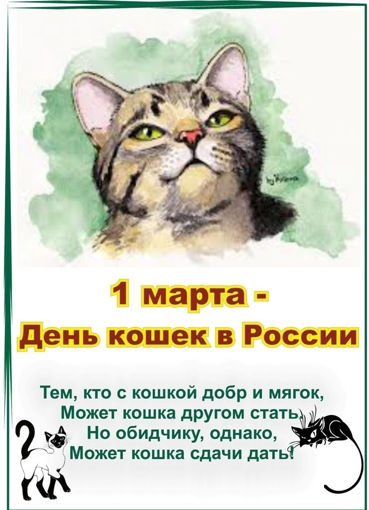 День котиков в россии. День кошек. День кошек в России.